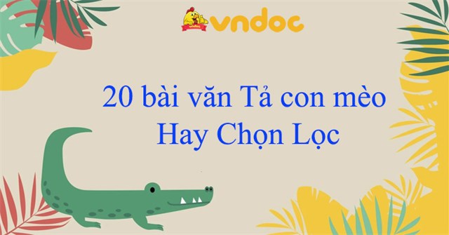 20 bài văn Tả con mèo Hay Chọn Lọc - Bài văn Tả con mèo lớp 2 đạt 