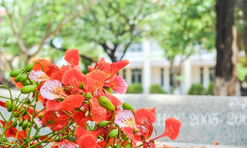 Tả quang cảnh trường em vào mùa hè lớp 6 mẫu