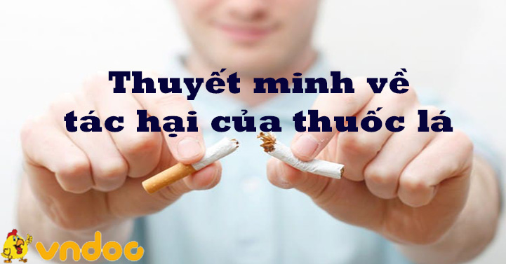 TOP 10 Thuyết minh về tác hại của thuốc lá hay chọn lọc - Bài văn mẫu lớp 8 văn thuyết minh - VnDoc.com