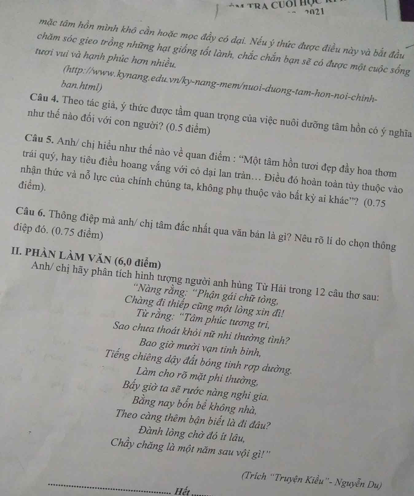 Đề thi học kì 2 môn Ngữ văn lớp 10 trường THPT Nguyễn Huệ, Đắklắk năm 2020-2021