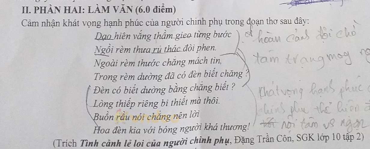 Đề thi học kì 2 môn Ngữ văn lớp 10 trường THPT Nguyễn Thông, Vĩnh Long năm 2020-2021