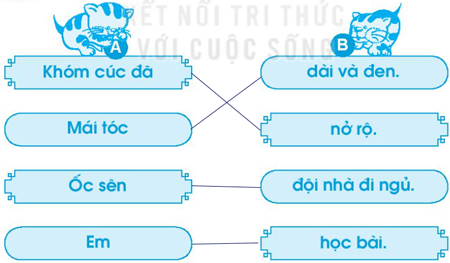Bài 47: oc ôc uc ưc