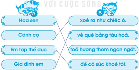 Giải VBT Tiếng Việt 1 trang 65 Bài 74: oa oe