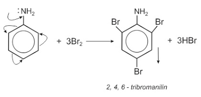 Phương trình phản ứng Anilin Brom