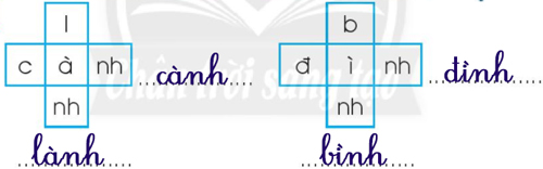 Chủ đề 15: Sinh nhật