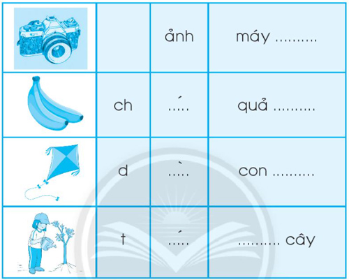 Chủ đề 15: Sinh nhật