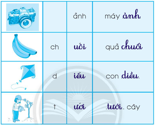 Chủ đề 15: Sinh nhật