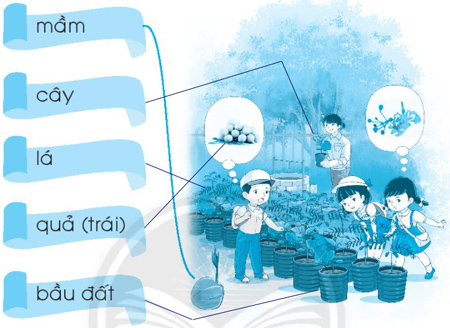 Chủ đề 17: Vườn ươm