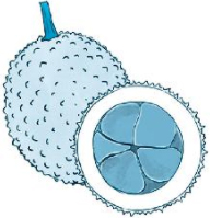 Giải VBT Tiếng Việt 1 trang 58, 59, 60 Chủ đề 18: Những điều em đã học