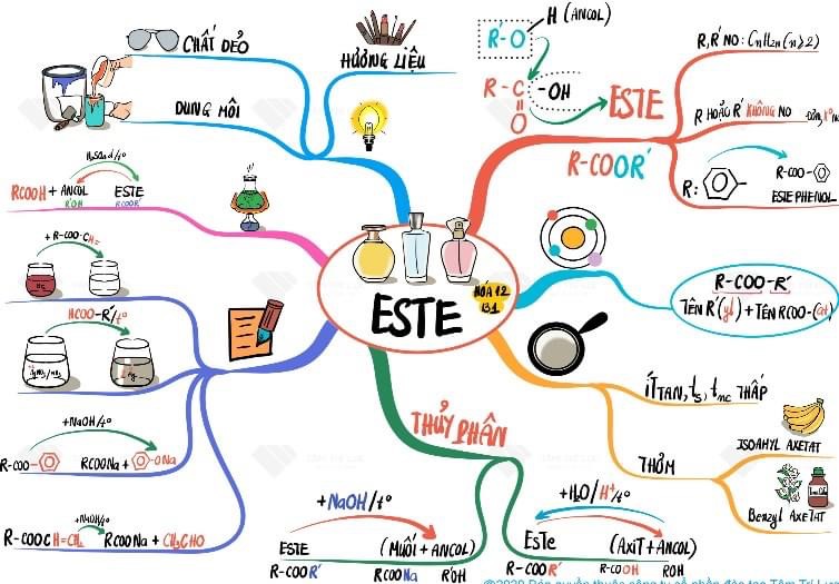 Sơ đồ tư duy bài este hóa 12