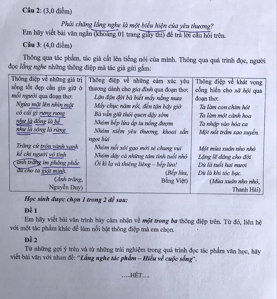 Những câu hỏi đặc biệt trong đề môn Ngữ văn thi vào lớp 10 ở TP.HCM