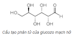 Cấu tạo mạch hở glucozo