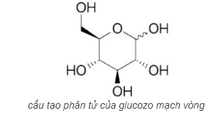Cấu tạo mạch vòng glucozo