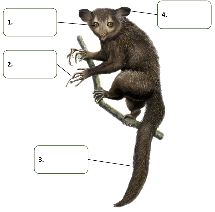 Soạn Anh 6 Unit 2 Comprehension SGK Cánh Diều