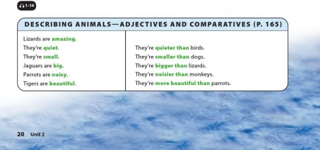 Soạn Anh 6 Unit 2 Language Focus SGK Cánh Diều