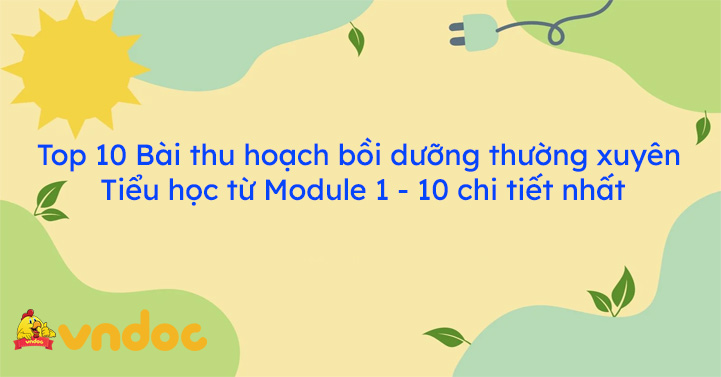 Top 10 Bài thu hoạch bồi dưỡng thường xuyên Tiểu học từ Module 1 - 10 chi tiết