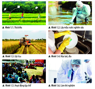 Giải khoa học tự nhiên 6 bài 1: Giới thiệu về khoa học tự nhiên