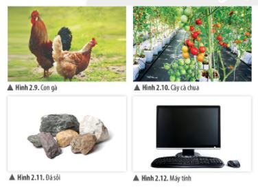 Khoa học tự nhiên lớp 6 bài 2