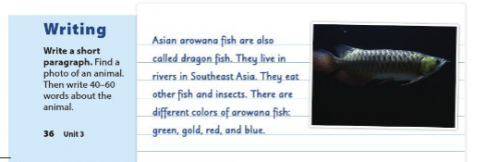 Soạn Anh 6 Unit 3 Writing SGK Cánh Diều