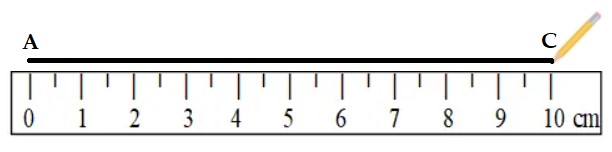 Bài 2 trang 25 Toán lớp 2 tập 1 SGK Chân trời sáng tạo