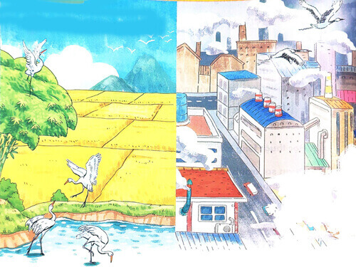 Bài 5: Những cánh cò