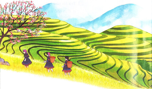 Bài 4: Ruộng bậc thang ở Sa Pa