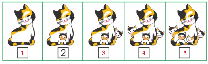 Bài 1 trang 28 Toán lớp 1 tập 1 SGK Chân trời sáng tạo