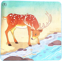 Bài 80: Ôn tập và kể chuyện