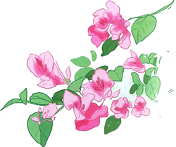 Đọc:  Hoa giấy (trích)  Ai bảo là giấy Nắng không bạc màu? Ai bảo là giấy Mưa không ướt nhàu?  Mỏng như là giấy Mưa nắng nào phai Tên nghe rất mỏng Nhưng mà dẻo dai.  (Nguyễn Lãm Thắng)