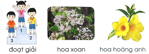 Giải Tiếng Việt 1 trang 12, 13 Bài 4: oat, oan, oang