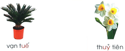 Giải Tiếng Việt 1 trang 8, 9 Bài 2: uê uy