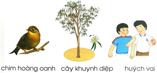 Bài 3: oanh uynh uych