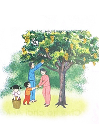 Bông hoa niềm vui