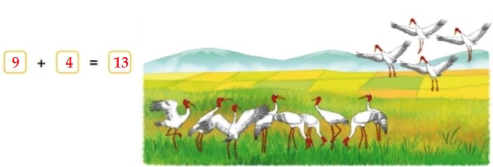 Bài 5 trang 29 Toán lớp 2 tập 1 SGK Kết nối tri thức với cuộc sống