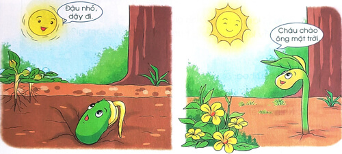 Mặt trời và hạt đậu