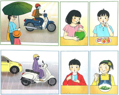 Mặt trời và hạt đậu