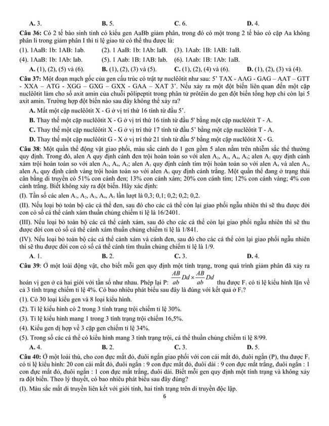 Đề thi thử THPT Quốc gia 2021