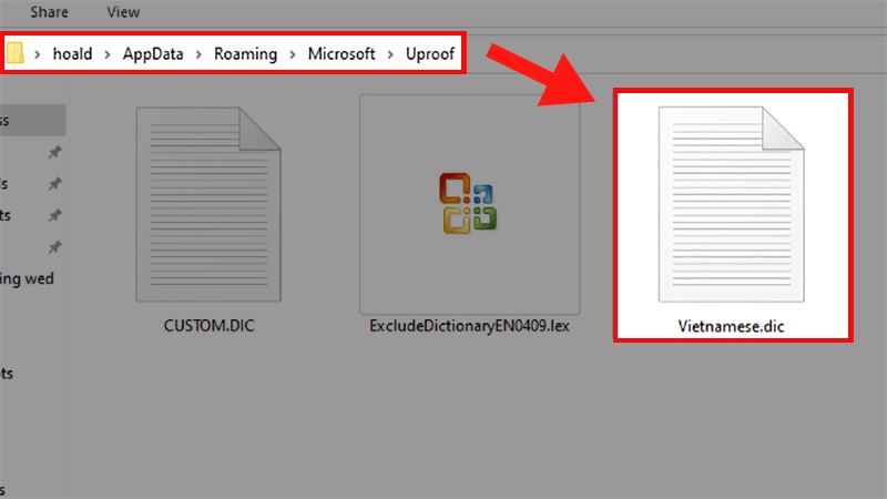 Paste file vừa copy vào folder UProof