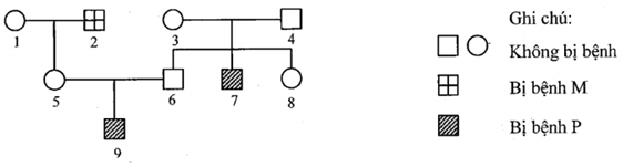 Đề thi thử THPT Quốc gia 2021 môn Sinh