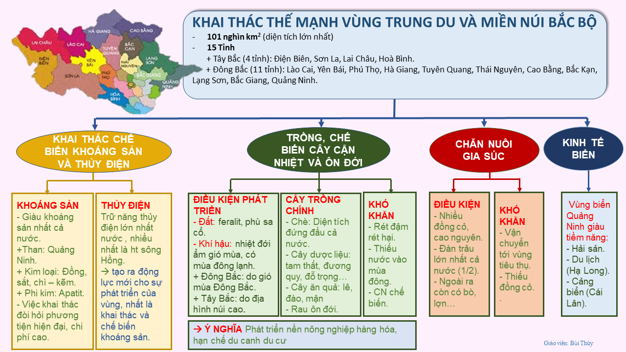 Sơ đồ tư duy 7 vùng kinh tế
