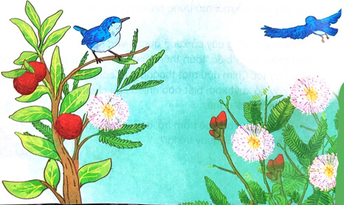 Bài 7 Cây xấu hổ - Phần đọc