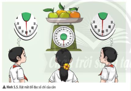 Giải KHTN 6 Chân trời sáng tạo bài 5