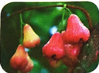 Bài 12: Danh sách học sinh - Phần viết