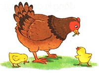 Bài 12: Danh sách học sinh - Phần viết