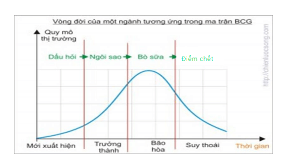 Các công cụ phân tích và lựa chọn chiến lược