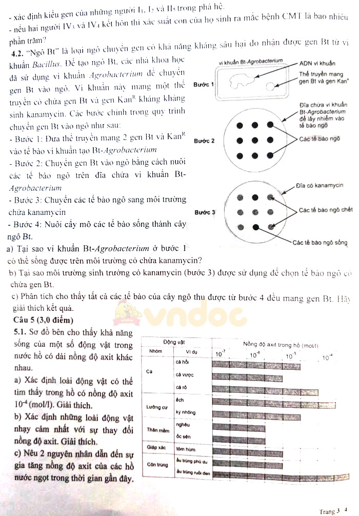 Đề thi tuyển sinh lớp 10 môn Sinh Chuyên Sư Phạm Hà Nội năm 2021