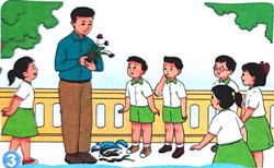 Kể chuyện đã học: Chậu hoa