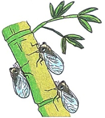 Nghe - viết: Cô giáo lớp em