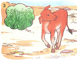 Bài 17: Gọi bạn - Nói và nghe