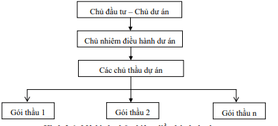 Mô hình chủ nhiệm điều hành dự án